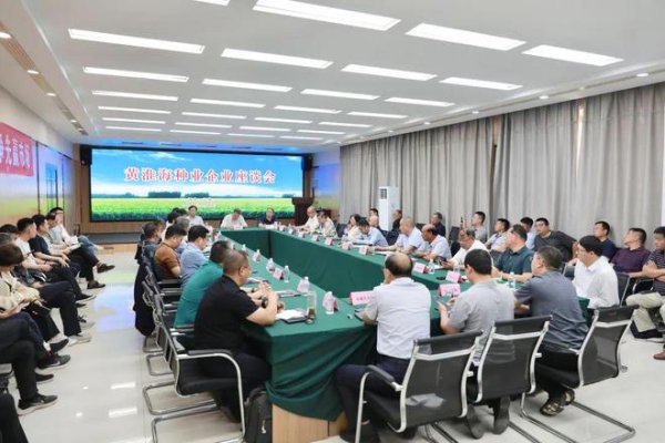 股票配资官方我 关键五年，黄淮海种业如何崛起