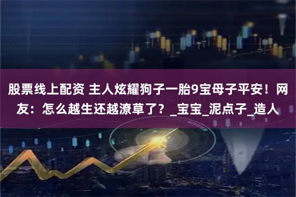 股票线上配资 主人炫耀狗子一胎9宝母子平安！网友：怎么越生还越潦草了？_宝宝_泥点子_造人